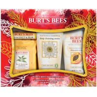 Burt's Bees Face Essentials Kit