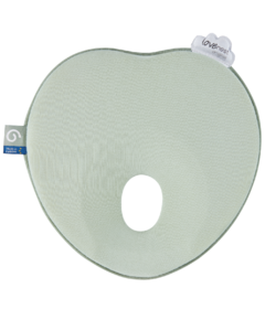 Babymoov Lovenest Sage