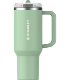 Stanley The Quencher ProTour Flip Straw Tumbler Pistachio