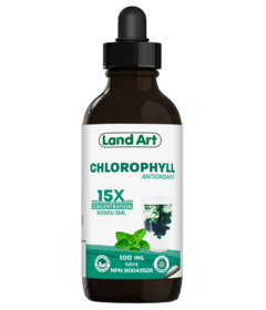 Land Art Concentrated 15X Chlorophyll Mint
