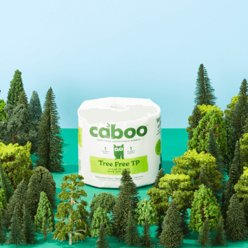 Caboo Bamboo