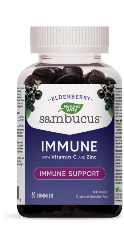 Buy Nature's Way Sambucus Elderberry Immune Support Gummies at Well.ca ...