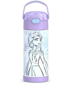 Thermos Stainless Steel FUNtainer Bottle Frozen