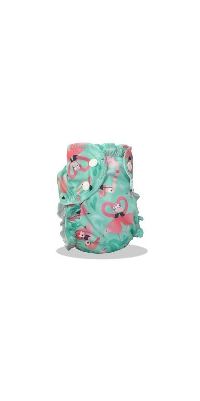 Buy AppleCheeks Swim Diaper Flamingle at Well.ca | Free Shipping $35 ...