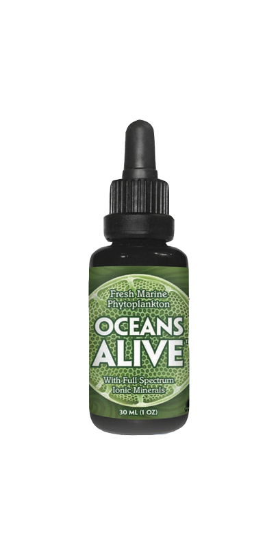 Buy Oceans Alive Fresh Marine Phytoplankton at Well.ca | Free Shipping ...