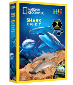 National Geographic Shark Tooth Dig Kit