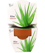 Buzzy Seeds Mini Terra Cotta Grow Pots Aloe