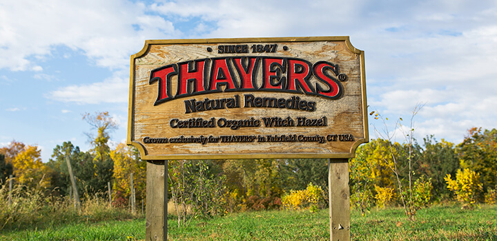 Since 1847 Thayers Natural Remedies - Certified Organic Witch Hazel