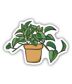 Stickers Northwest Pothos Sticker