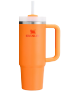 Stanley The Quencher H2.O FlowState Tumbler Goldenrod