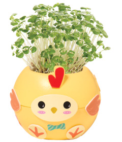 Creativity For Kids Plant-a-Pet Chicken