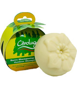 Citrolug Shampoo Bar