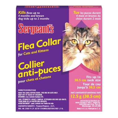 purple flea collar
