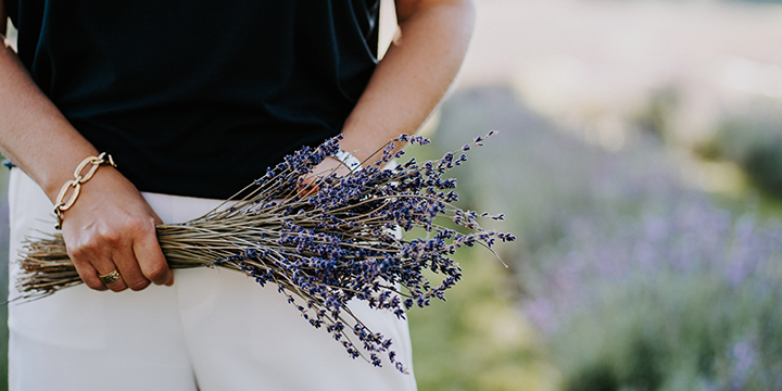 person holding bunch of lavender