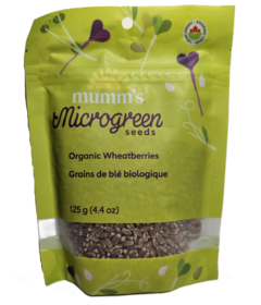 Mumm's Microgreen Seeds Organic Wheatberries