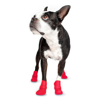 Frenchie wellies sale