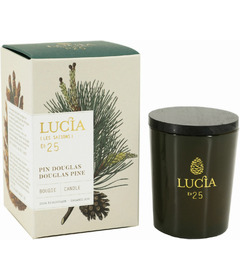 Lucia Soy Candle Douglas Pine