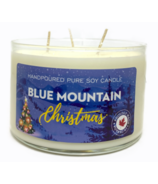 Serendipity Candles Bougie à 2 mèches, parfum « Blue Mountain Christmas »