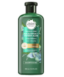 Herbal Essences bio:renew Aloe + Eucalyptus Sulfate Free Shampoo 