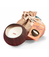 The Future Is Bamboo Sugar Bloom Coco-Candle