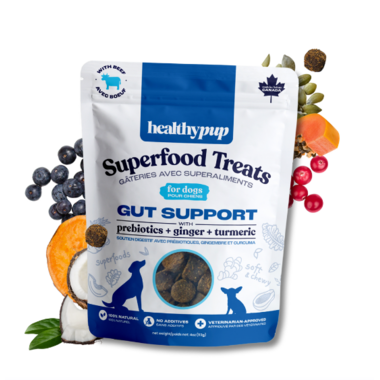 Digestive health dog outlet treats