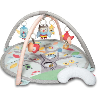 Buy Skip Hop Treetop Friends Activity Gym At Well Ca Free