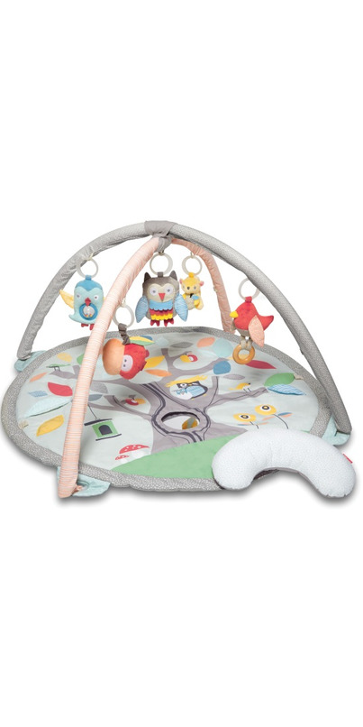 Buy Skip Hop Treetop Friends Activity Gym at Free