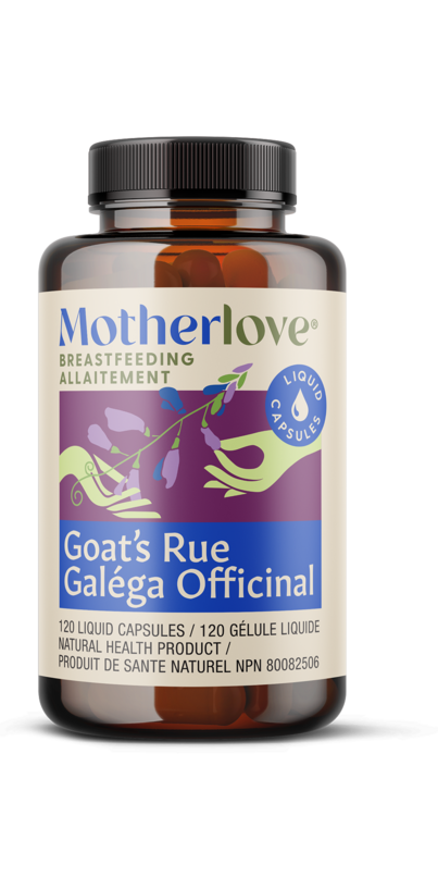 Secrets Of Breast-Feeding From Global Moms In The Know : Goats and