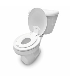 Ingenuity Flip and Sit Potty Seat