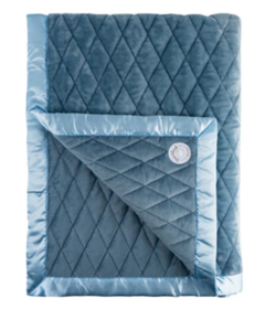 Dreamland Toddler 4 Pound Weighted Dream Blanket Ocean Blue