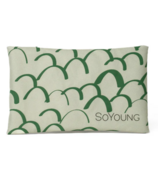 SoYoung Ice Pack Dino Scales
