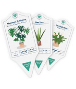 Bubblegum Stuff Houseplant Care Tags