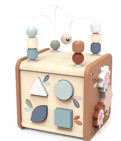 Speedy Monkey Activity Cube 5 in 1