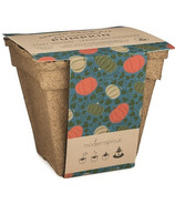 Modern Sprout Garden Drop-In Kit Pumpkin