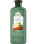 Herbal Essences bio:renew Mango + Potent Aloe Conditioner for Curly Hair
