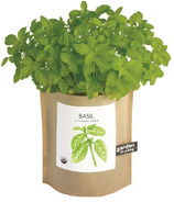 Potting Shed Creations Basil Garden-in-a-Bag