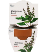 Buzzy Seeds Mini Terra Cotta Grow Pots Christmas Basil