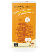 Stay Wyld Organics Ltd. Kit Champignons Crinière de Lion