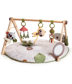 Tiny Love Boho Chic Luxe Developmental Gymini