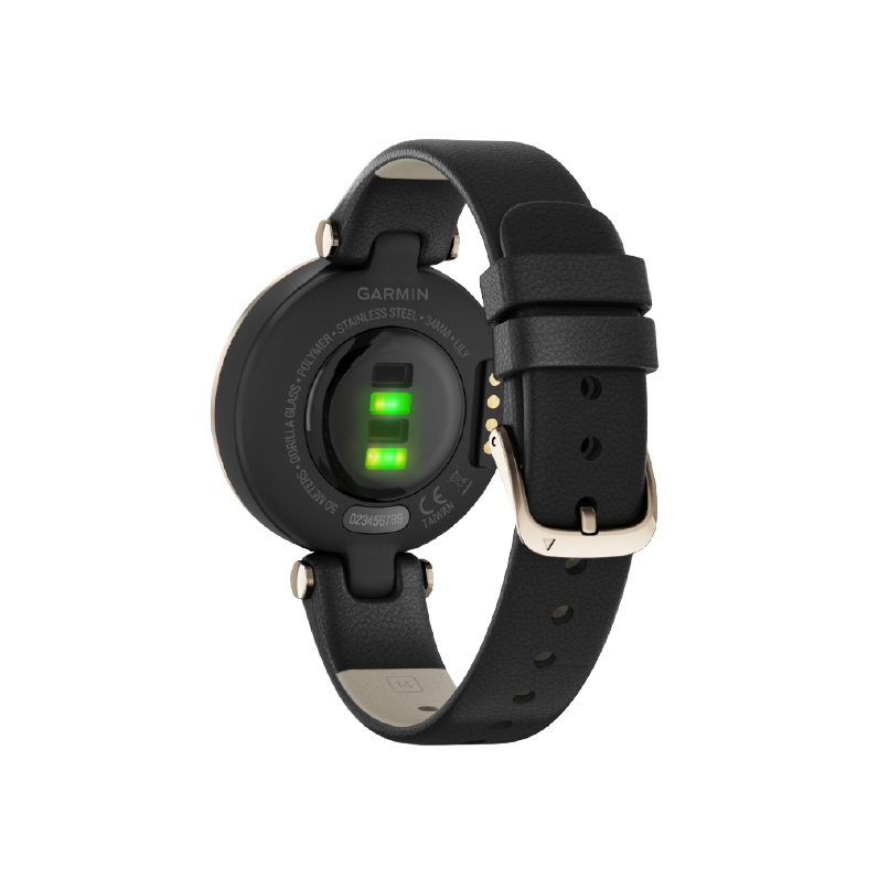 Buy Garmin Lily Classic Edition with Gold Bezel and Italian