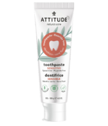 ATTITUDE Toothpaste Fluoride Free Sensitive Spearmint