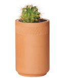 Kit Cactus à figues de Barbarie Terracotta de Modern Sprout