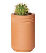 Modern Sprout Terracotta Kit Prickly Pear Cactus