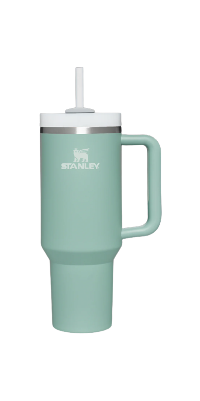Buy Stanley The Quencher H2.0 FlowState Tumbler Eucalyptus at Well.ca ...