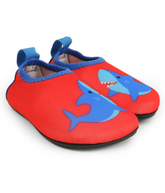 ZOOCCHINI Aqua Shoe Shark