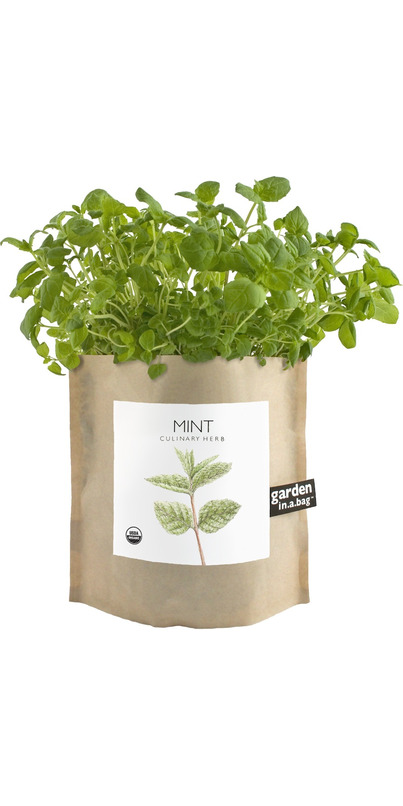 Buy Potting Shed Creations Mint Garden-in-a-Bag at Well.ca ...