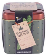 Buzzy Seeds Holiday Square Tin Spruce