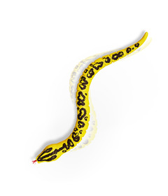 Terra RC Snake Anaconda