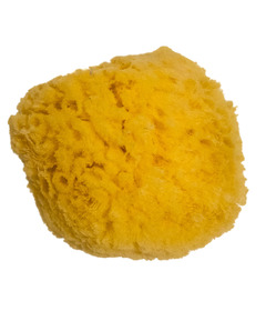 Loot Toy Co. Sandy The Sea Sponge