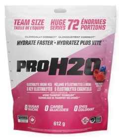 PVL PRO H2O Electrolyte Drink Mix Berry